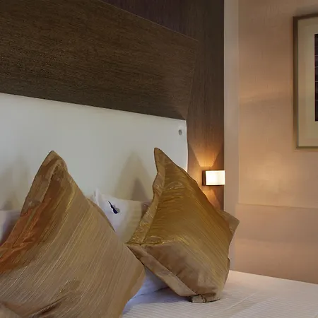 جاز نيسانتاسي 3* اسطنبول