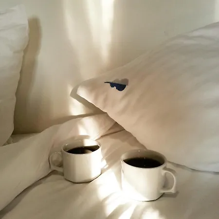 فندق جاز نيسانتاسي 3*